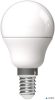 LED izzó, E14, kisgömb, G45, 4,5W, 470lm, 6400K, AVIDE