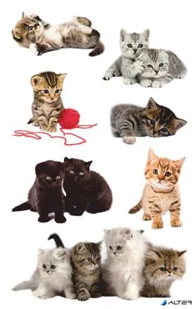 Matrica, papír,  3 ív, 76x120 mm, AVERY ZWECKFORM, "Z-Design No.55971", játékos kölyök cicák