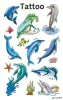 Matrica, tetoválás, 1 ív, 76x120 mm, AVERY ZWECKFORM, 'Z-Design No.56439', delfinek tengeri csillagokkal