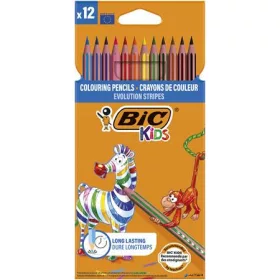   Színes ceruza készlet, BIC KIDS 'Evolution Stripes', 12 különböző szín
