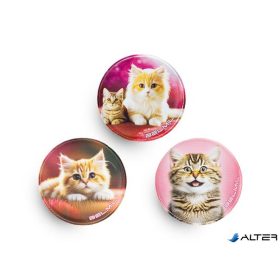   Matrica, tépőzáras, Classy Plus táskához, BELMIL 'Cats', cica