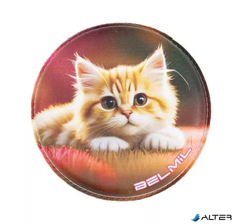 Matrica, tépőzáras, Classy Plus táskához, BELMIL 'Cats', cica