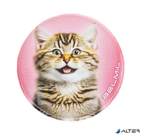 Matrica, tépőzáras, Classy Plus táskához, BELMIL 'Cats', cica