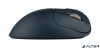 Egér, vezeték nélküli, trackball, KENSINGTON "Pro Fit Ergo TB550"
