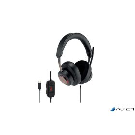  Fejhallgató, mikrofonnal, USB-C, KENSINGTON "H2000"