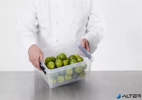 Műanyag tárolódoboz, 8 liter, fekete fogantyúkkal, SMARTSTORE "Classic 10", átlátszó