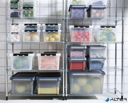 Műanyag tárolódoboz, 14 liter, fekete fogantyúkkal, SMARTSTORE 'Classic 15', átlátszó