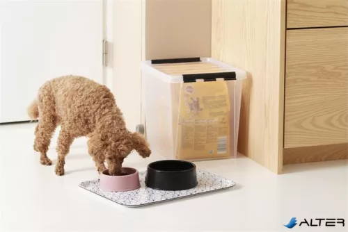 Műanyag tárolódoboz, 25 liter, fekete fogantyúkkal, SMARTSTORE 'Classic 16', átlátszó