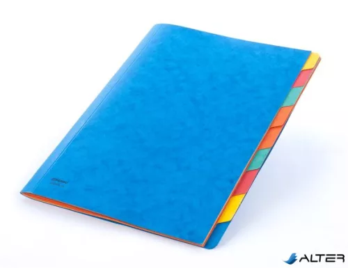 Előrendező, A4, 9 részes, karton, DONAU, kék