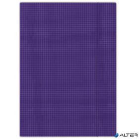 Gumis mappa, karton, A4, kockás, DONAU, kék