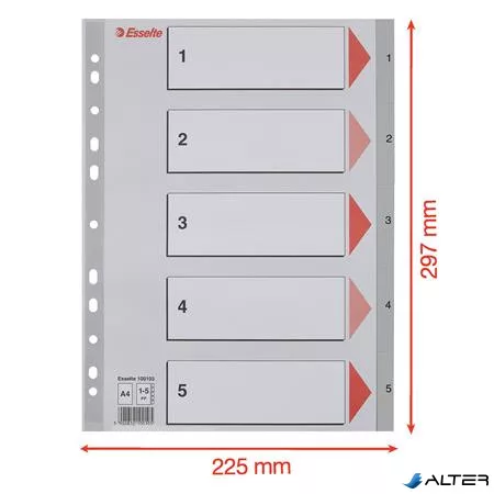 Regiszter, műanyag, A4, 1-5, ESSELTE, szürke