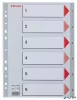 Regiszter, műanyag, A4, 1-6, ESSELTE, szürke