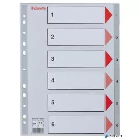 Regiszter, műanyag, A4, 1-6, ESSELTE, szürke