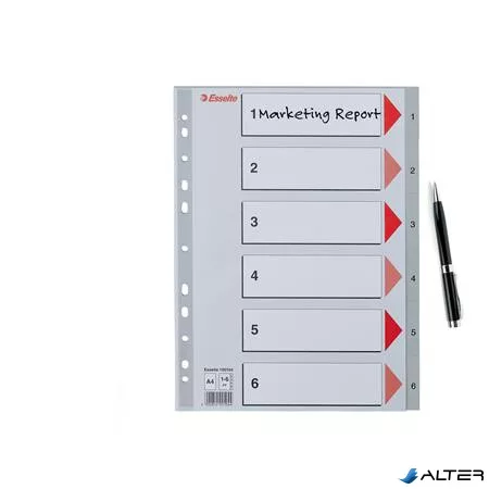 Regiszter, műanyag, A4, 1-6, ESSELTE, szürke