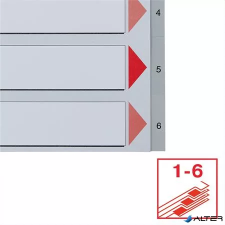 Regiszter, műanyag, A4, 1-6, ESSELTE, szürke
