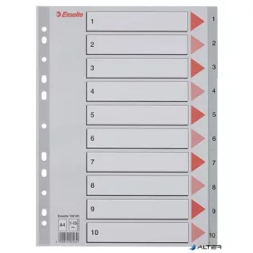 Regiszter, műanyag, A4, 1-10, ESSELTE,szürke