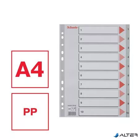 Regiszter, műanyag, A4, 1-10, ESSELTE,szürke