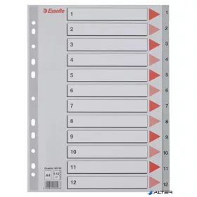 Regiszter, műanyag, A4, 1-12, ESSELTE, szürke