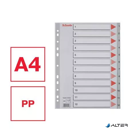 Regiszter, műanyag, A4, 1-12, ESSELTE, szürke