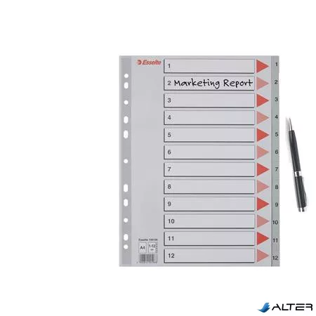 Regiszter, műanyag, A4, 1-12, ESSELTE, szürke