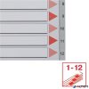 Regiszter, műanyag, A4, 1-12, ESSELTE, szürke