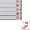 Regiszter, műanyag, A4, 1-12, ESSELTE, szürke
