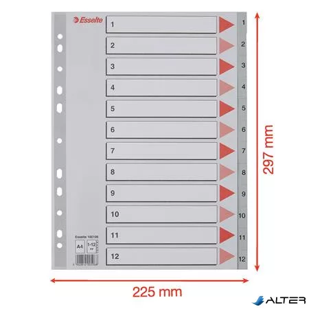 Regiszter, műanyag, A4, 1-12, ESSELTE, szürke