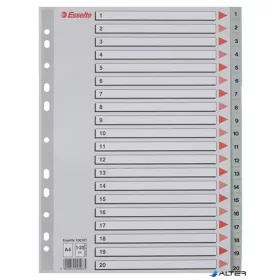 Regiszter, műanyag, A4, 1-20, ESSELTE, szürke