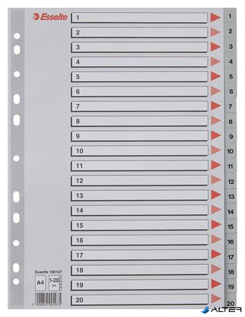 Regiszter, műanyag, A4, 1-20, ESSELTE, szürke