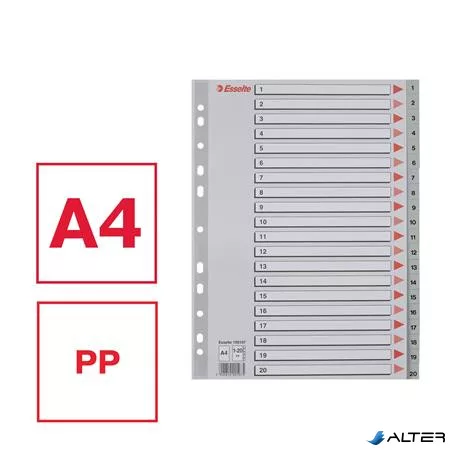 Regiszter, műanyag, A4, 1-20, ESSELTE, szürke