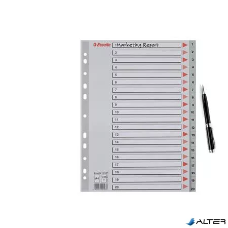 Regiszter, műanyag, A4, 1-20, ESSELTE, szürke