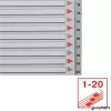 Regiszter, műanyag, A4, 1-20, ESSELTE, szürke