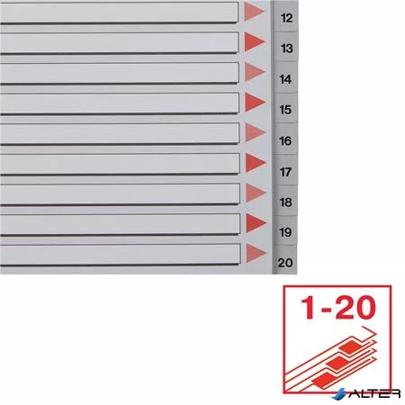 Regiszter, műanyag, A4, 1-20, ESSELTE, szürke