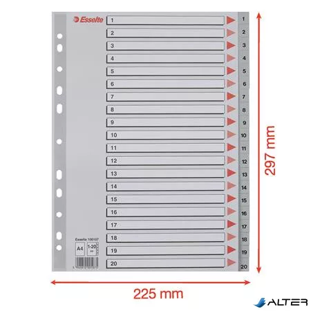 Regiszter, műanyag, A4, 1-20, ESSELTE, szürke