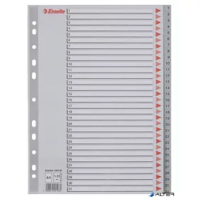 Regiszter, műanyag, A4, 1-31, ESSELTE, szürke