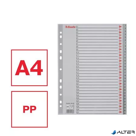 Regiszter, műanyag, A4, 1-31, ESSELTE, szürke