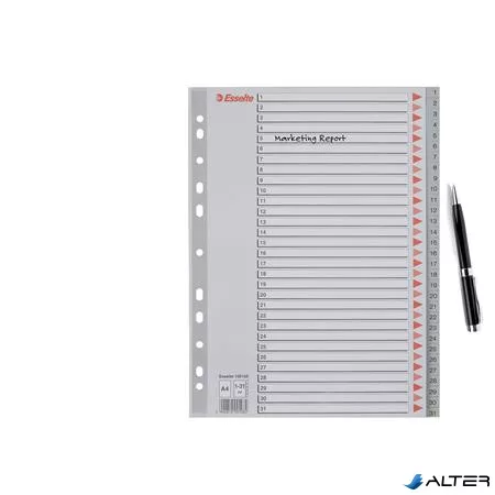 Regiszter, műanyag, A4, 1-31, ESSELTE, szürke