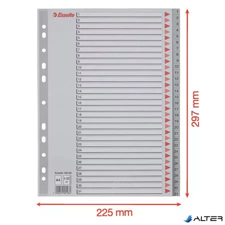 Regiszter, műanyag, A4, 1-31, ESSELTE, szürke