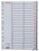 Regiszter, műanyag, A4, 1-54, ESSELTE, szürke