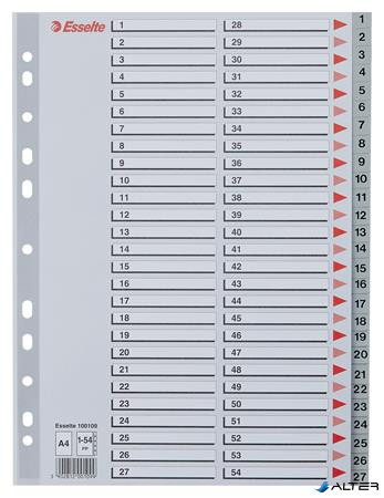 Regiszter, műanyag, A4, 1-54, ESSELTE, szürke