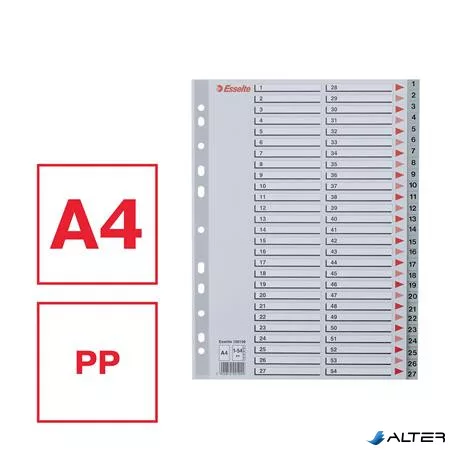 Regiszter, műanyag, A4, 1-54, ESSELTE, szürke