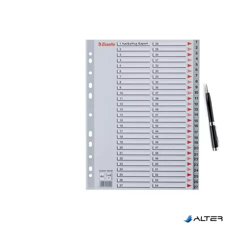 Regiszter, műanyag, A4, 1-54, ESSELTE, szürke