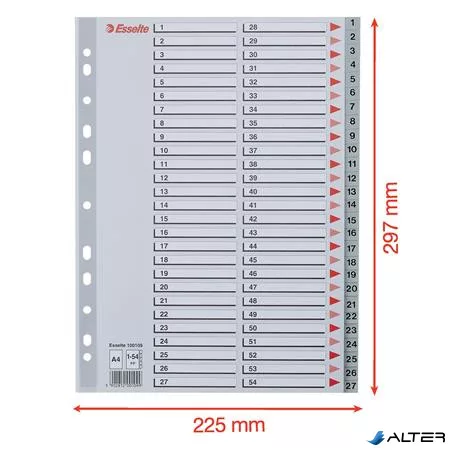Regiszter, műanyag, A4, 1-54, ESSELTE, szürke