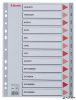 Regiszter, műanyag, A4, Jan-Dec, ESSELTE, szürke
