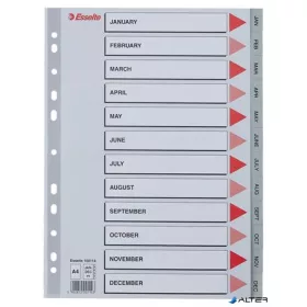 Regiszter, műanyag, A4, Jan-Dec, ESSELTE, szürke