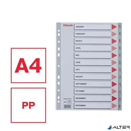 Regiszter, műanyag, A4, Jan-Dec, ESSELTE, szürke