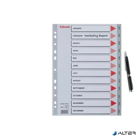 Regiszter, műanyag, A4, Jan-Dec, ESSELTE, szürke