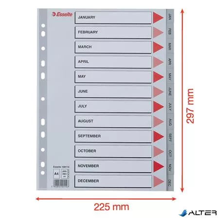 Regiszter, műanyag, A4, Jan-Dec, ESSELTE, szürke