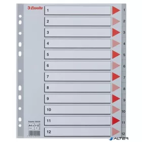 Regiszter, műanyag, A4 Maxi, 1-12, ESSELTE, szürke