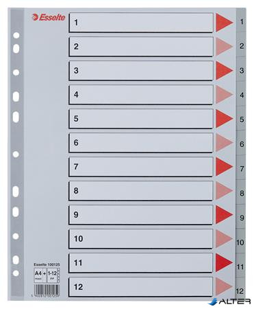 Regiszter, műanyag, A4 Maxi, 1-12, ESSELTE, szürke